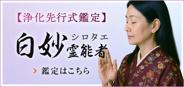 白妙（シロタエ）先生