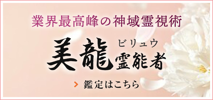 美龍（ビリュウ）先生