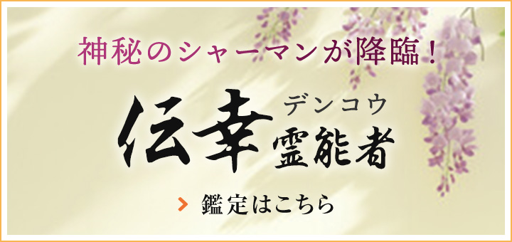 伝幸 (デンコウ) 先生