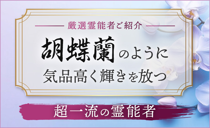 ランク別PR 胡蝶蘭