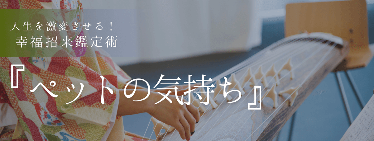 人生を激変させる!幸福招来鑑定術 第10回 舞 (マイ) 霊能者『ペットの気持ち』